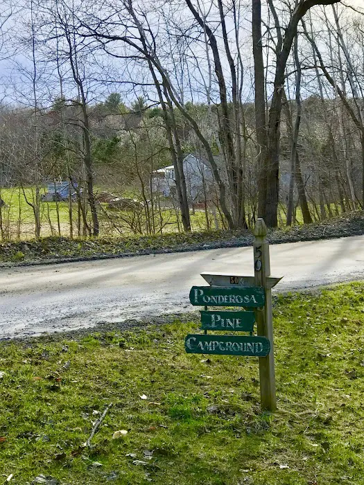 Ponderosa Pine Campground Picture 9