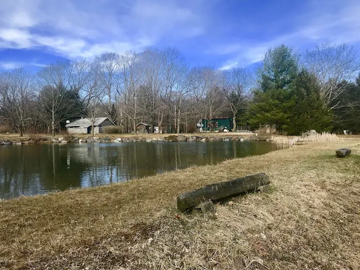 Ponderosa Pine Campground Picture 7