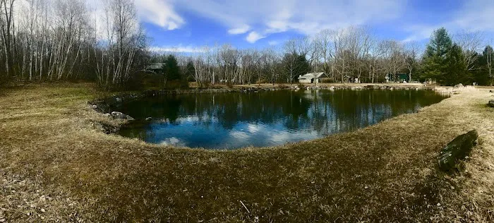 Ponderosa Pine Campground Picture 3