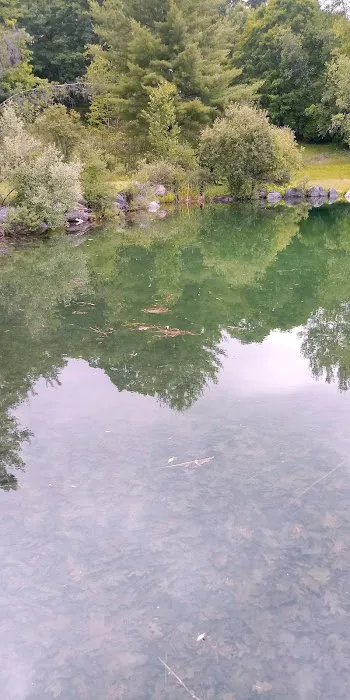 Ponderosa Pine Campground Picture 1