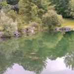 Ponderosa Pine Campground