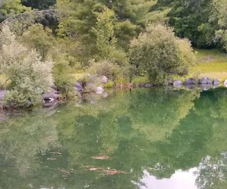 Ponderosa Pine Campground