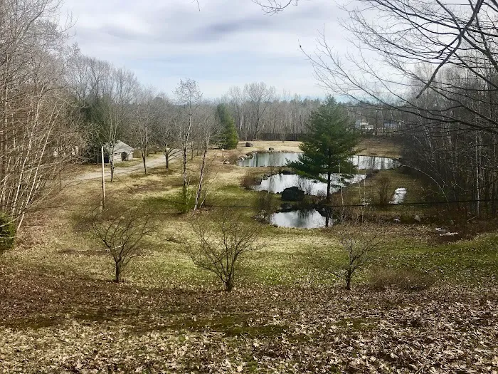 Ponderosa Pine Campground Picture 4