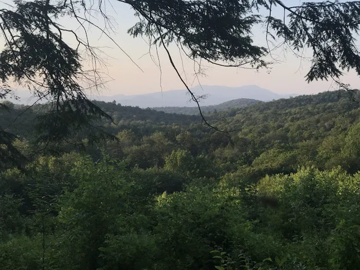 Ponderosa Pine Campground Picture 2