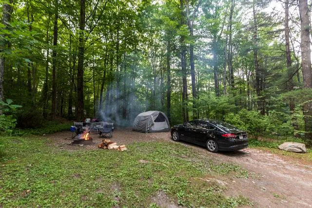 Mt. Greylock Campsite Park Picture 4