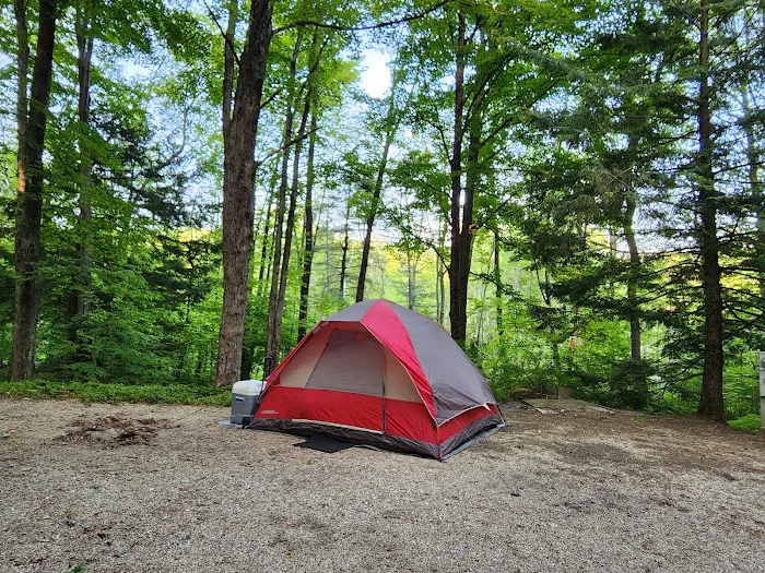 Mt. Greylock Campsite Park Picture 8