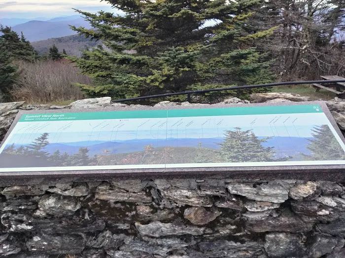 Mt. Greylock Campsite Park Picture 4