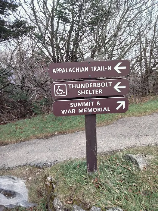Mt. Greylock Campsite Park Picture 2