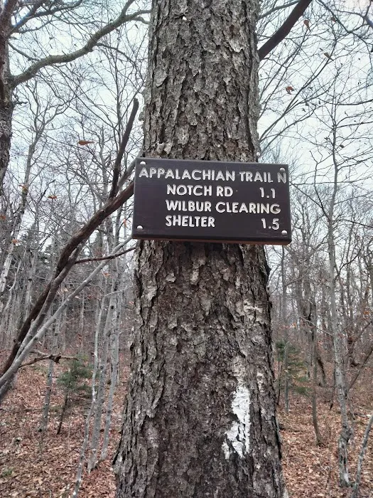 Mt. Greylock Campsite Park Picture 6