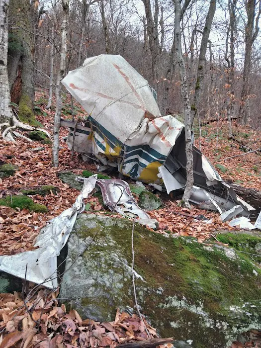Mt. Greylock Campsite Park Picture 3