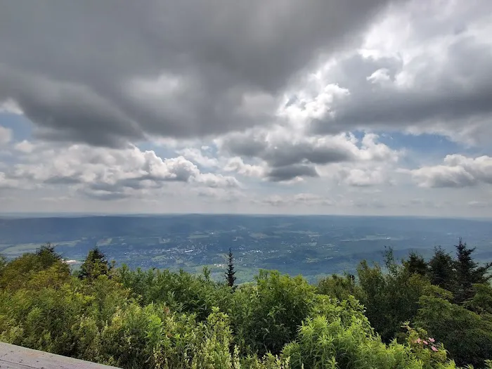 Mt. Greylock Campsite Park Picture 9