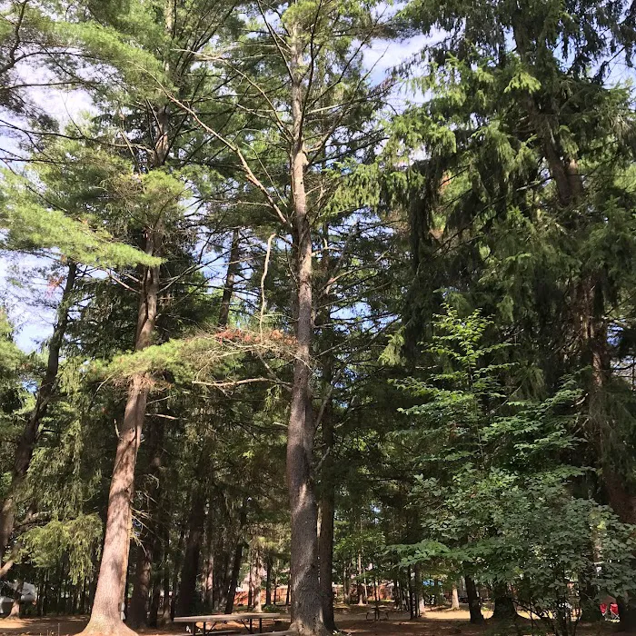 Saratoga RV Park Picture 10