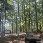Stewarts Pond Campsites