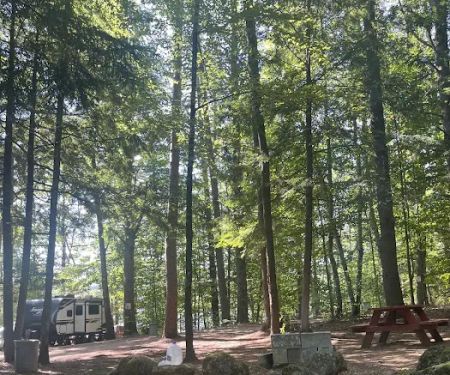 Stewarts Pond Campsites