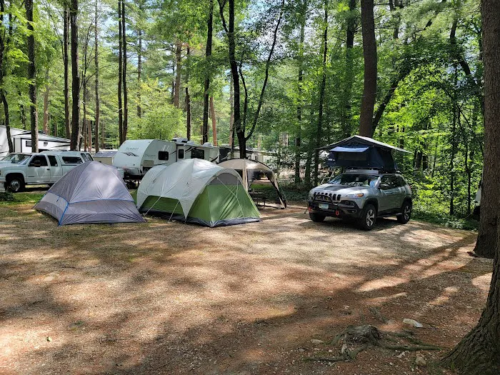 Lone Oak Campsites Picture 10