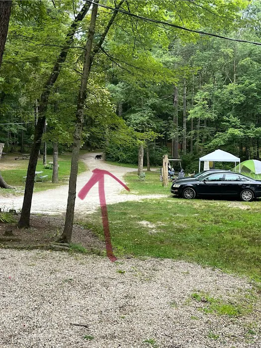 Lone Oak Campsites Picture 7