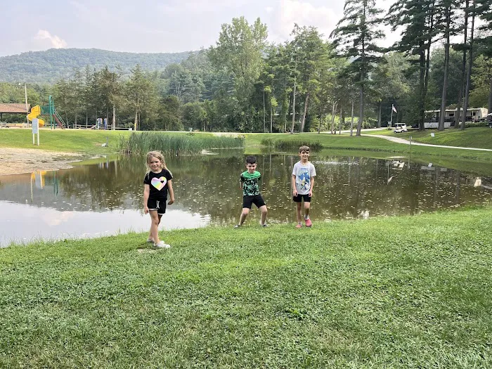 Lone Oak Campsites Picture 4