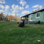 Summit Hill Campground