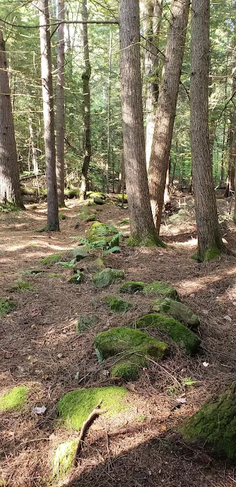 Fernwood Forest Campground Picture 2