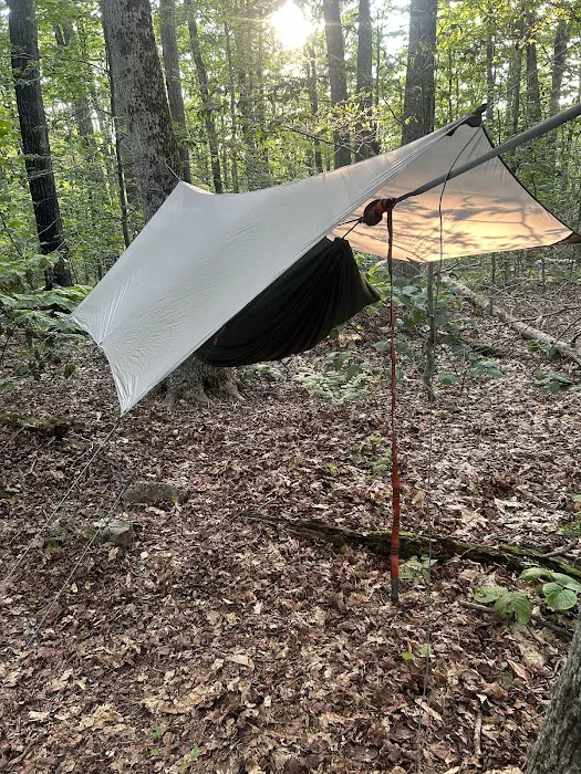 Crystal Mountain Campsite Picture 1