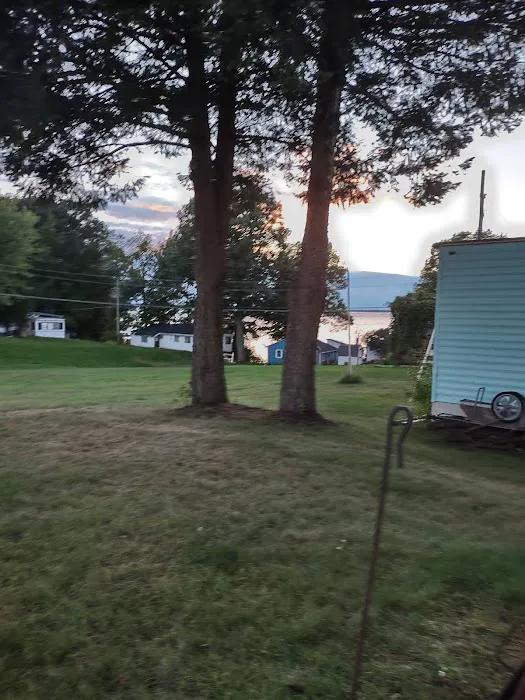 Maloney's Trailer Park Picture 2