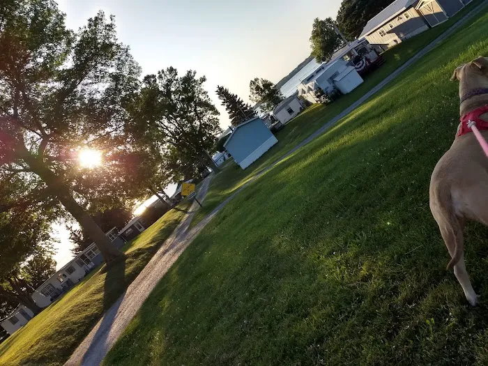 Maloney's Trailer Park Picture 7