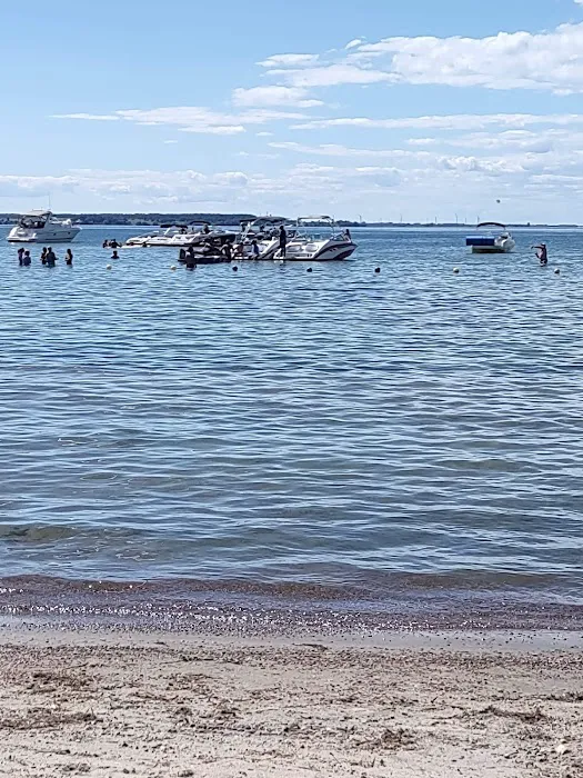 Maloney's Trailer Park Picture 5