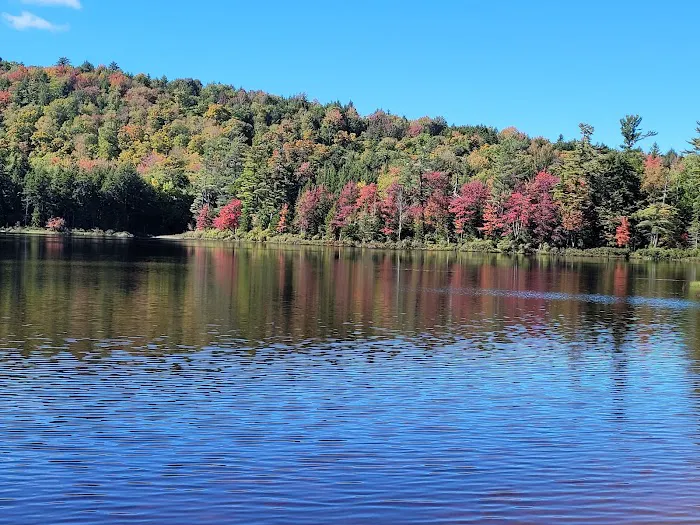 Brown Tract Pond Campground Picture 7