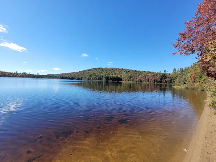 Brown Tract Pond Campground Picture 4