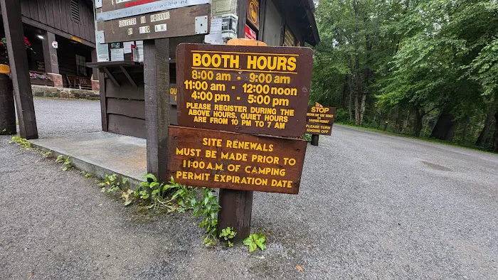 Brown Tract Pond Campground Picture 2