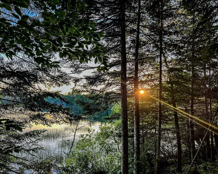 Brown Tract Pond Campground Picture 8