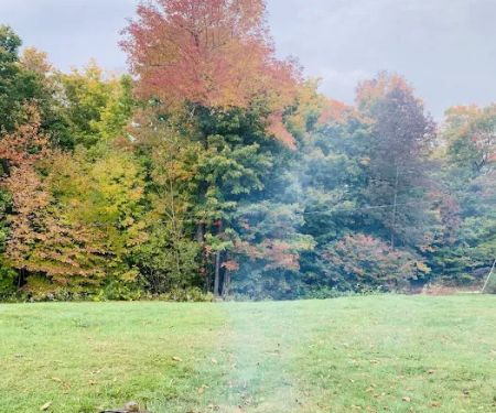 Savoy Mountain State Forest Campground