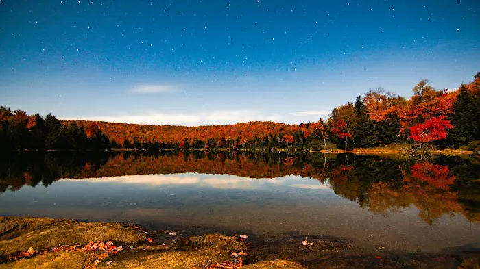 Savoy Mountain State Forest Campground Picture 9