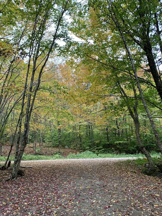 Camp Kelly Campground Picture 9