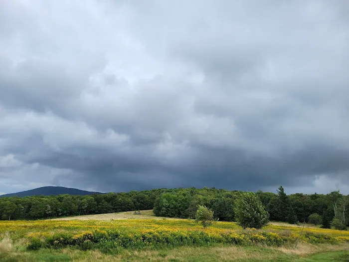 Grateful Acres Vermont Picture 9