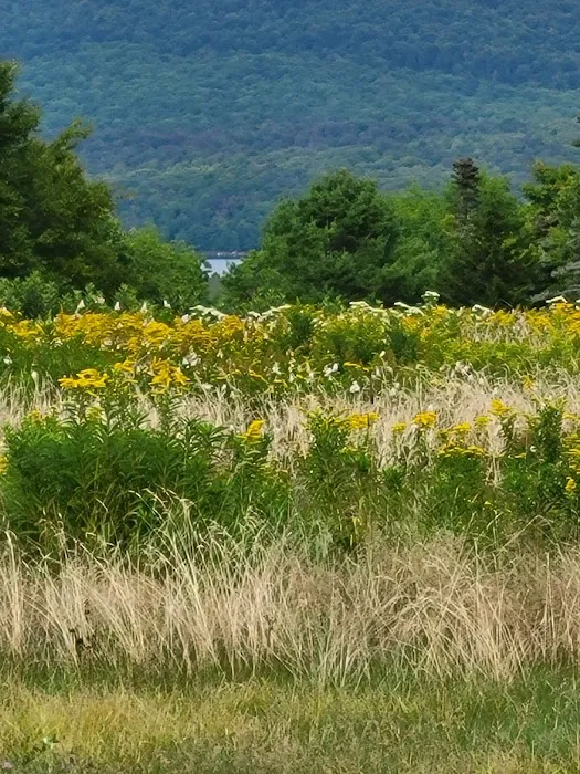 Grateful Acres Vermont Picture 7