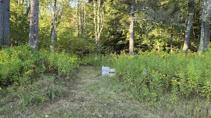 Gus's Gardens Camping Picture 5