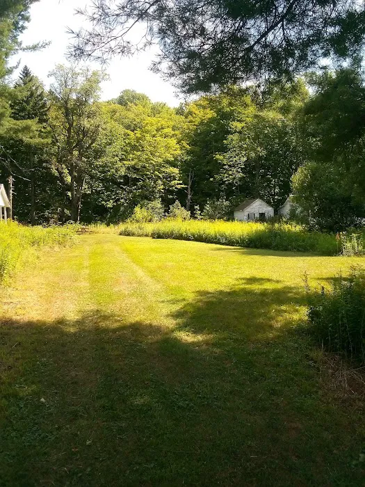 Gus's Gardens Camping Picture 9