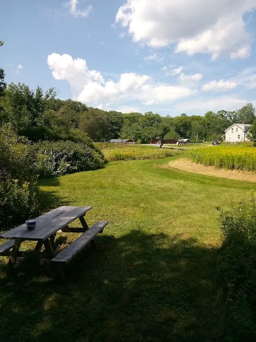Gus's Gardens Camping Picture 6