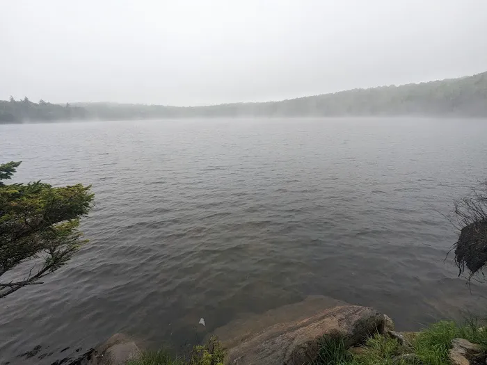 Stratton Pond Tenting Area Picture 4