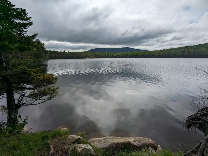 Stratton Pond Tenting Area Picture 3