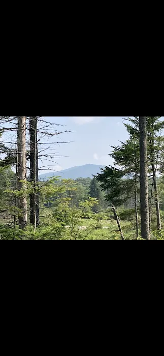 Stratton Off The Trail Picture 1