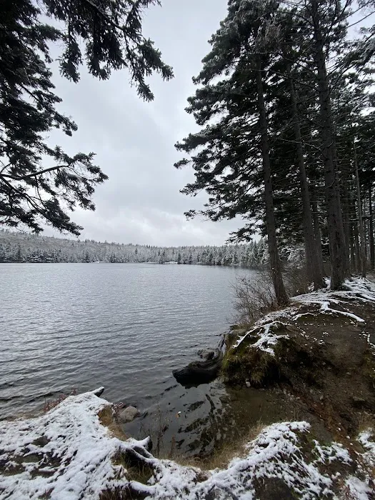 Grout Pond Campsites Picture 2