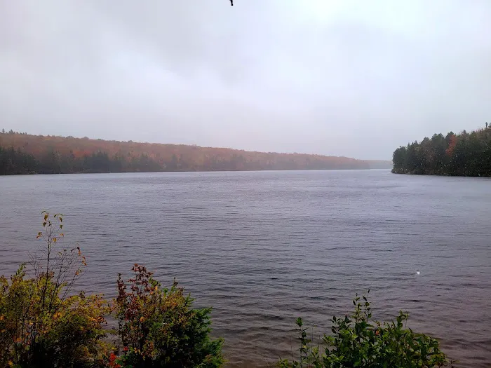 Grout Pond Campsites Picture 5
