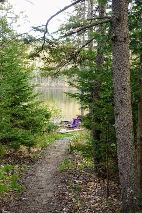 Grout Pond Campsites Picture 10