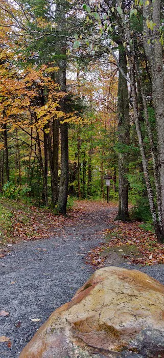 Grout Pond Recreation Area Picture 10