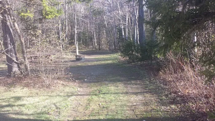 Grout Pond Recreation Area Picture 4