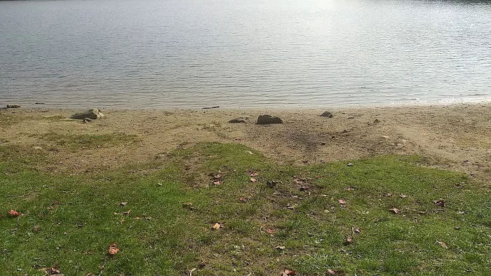 Grout Pond Recreation Area Picture 5