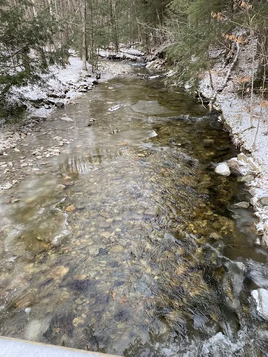 Hapgood Pond Campground Picture 5