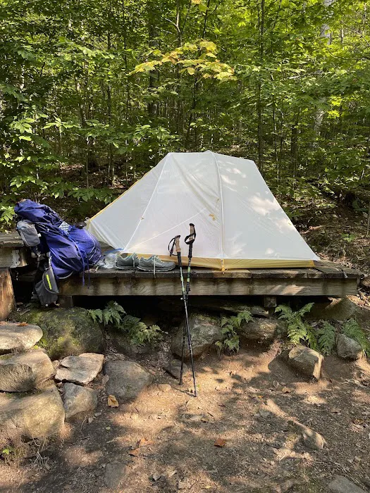 Little Rock Pond Shelter Picture 7